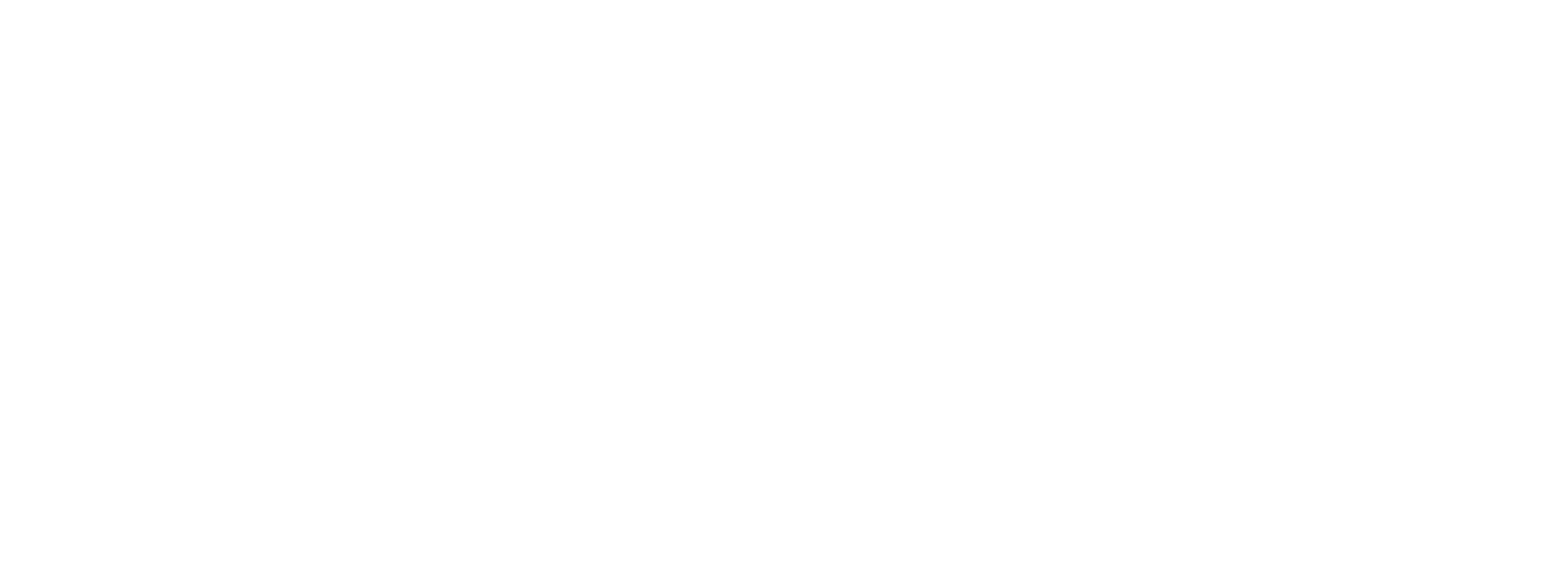 LogoBlancVLV